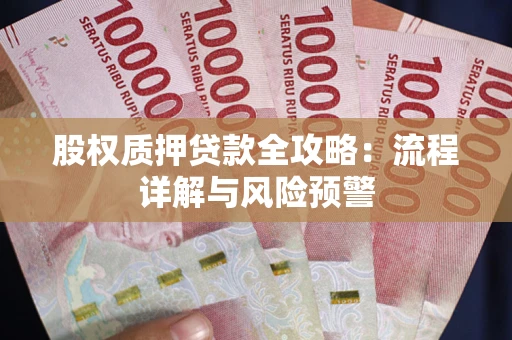 北京股权质押贷款全攻略：流程详解与风险预警