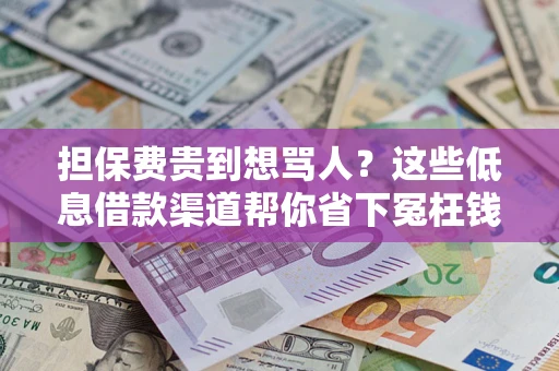 北京担保费贵到想骂人？这些低息借款渠道帮你省下冤枉钱